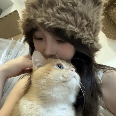 如果历史是一群喵第七季